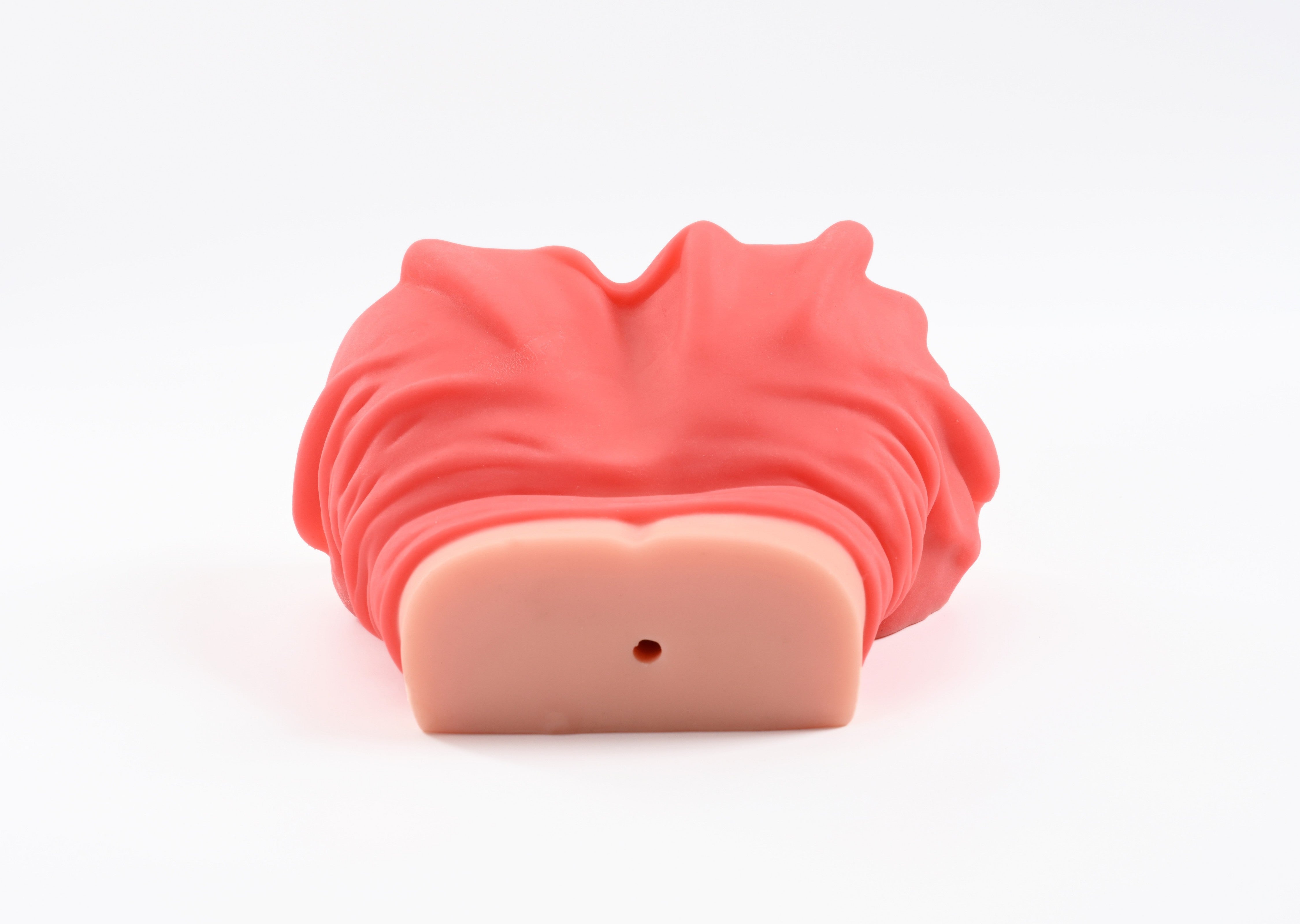 Disponible en Europa: Envío rápido: Muñeca sexual de 22 cm/8,7 pulgadas (solo torso)