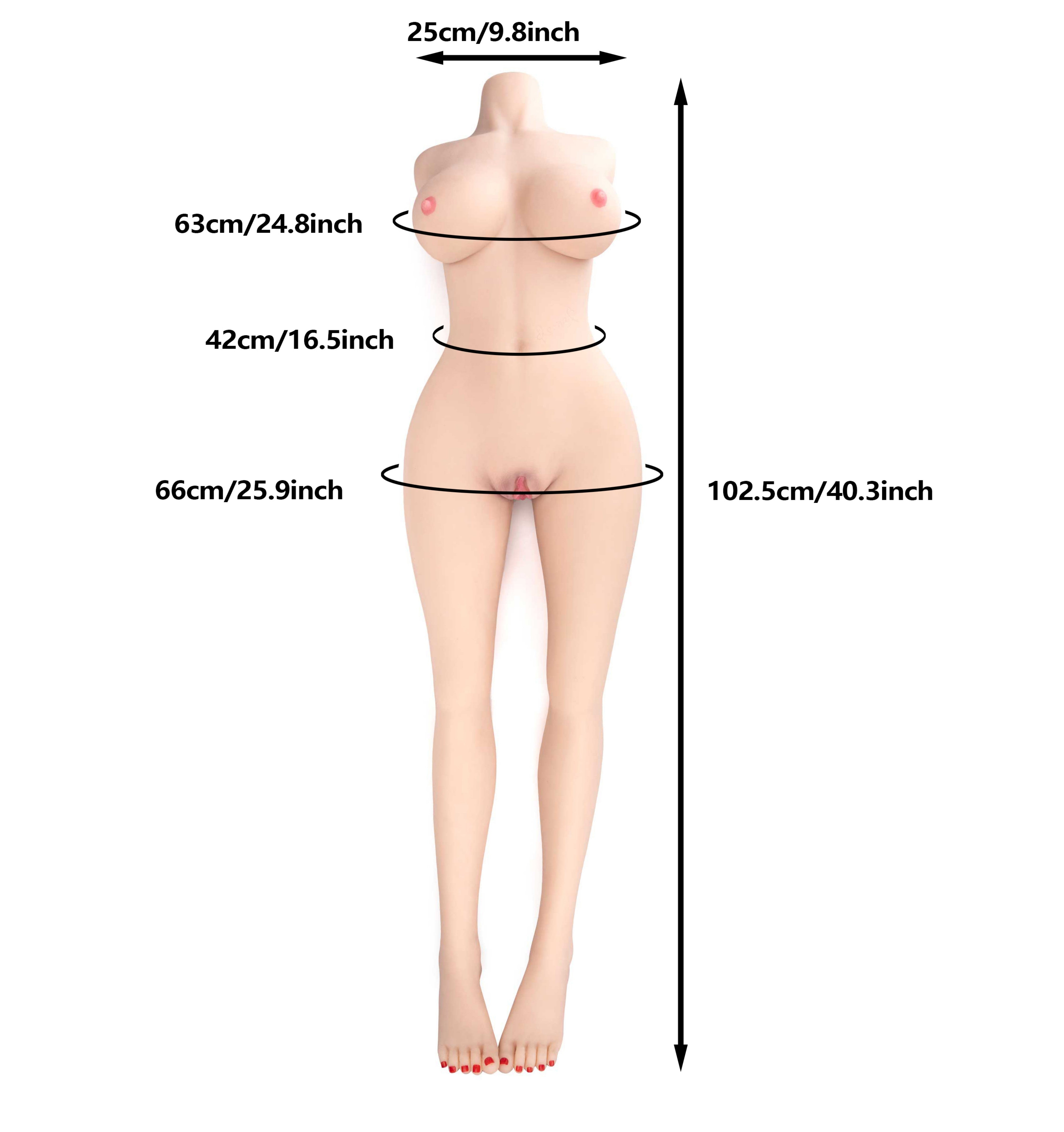 USA In Stock丨Fast Shipping丨103cm/40.6Inch Sex Doll – Torso Only